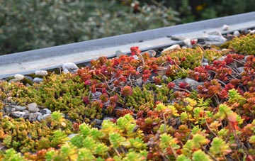 the cost of Langholm green roof installation