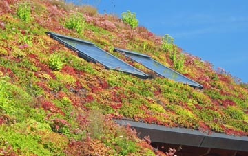 Langholm living roof systems