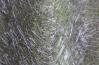 Langholm fibreglass roof work